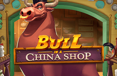 bull-in-a-china-shop